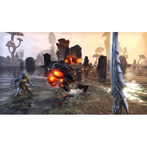 Игра The Elder Scrolls  Online Morrowind Steelbook edition PS4 Б.У. фото №6