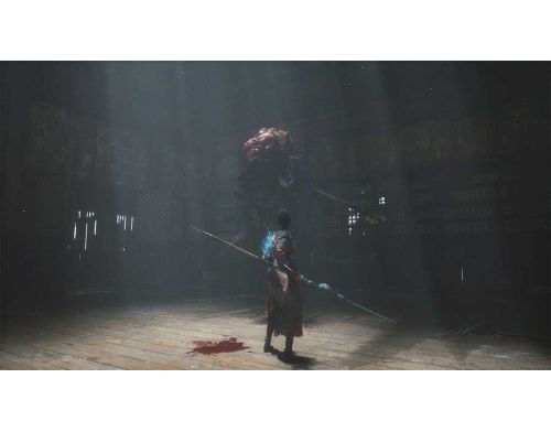 Игра Wuchang Fallen Feathers Day One Edition PS5 фото №2