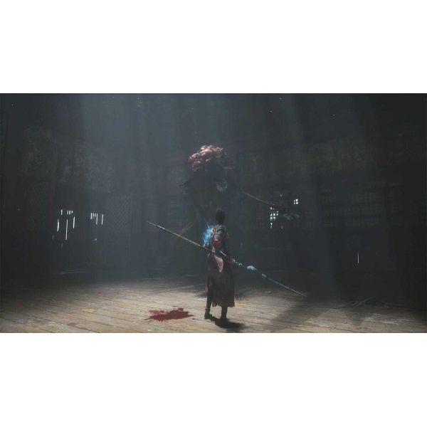 Игра Wuchang Fallen Feathers Day One Edition PS5 фото №2