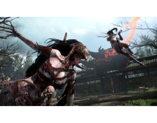 Игра Wuchang Fallen Feathers Day One Edition PS5 фото №4