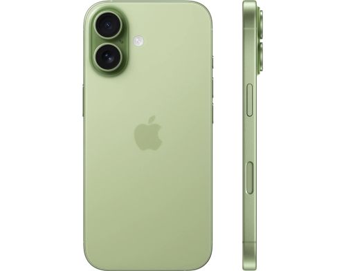 Apple iPhone 17 256GB Sage (MG6N4) фото №2