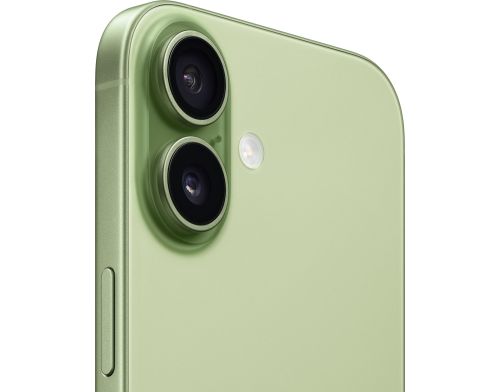 Apple iPhone 17 256GB Sage (MG6N4) фото №3