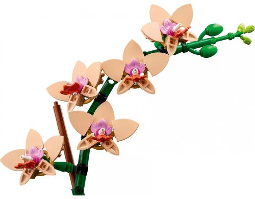 Блочный конструктор LEGO Botanicals Мини орхидея 274 детали (10343) фото №4