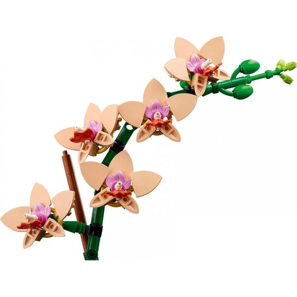 Блочный конструктор LEGO Botanicals Мини орхидея 274 детали (10343) фото №4