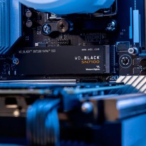 SSD накопитель WD Black SN7100 1 TB (WDS100T4X0E)