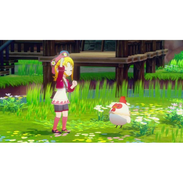 Гра Story of Seasons - Grand Bazaar Nintendo Switch (SV165610) фото №2