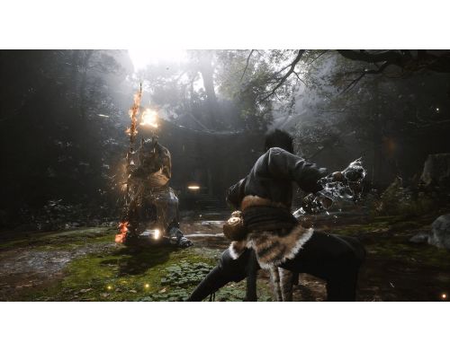 Игра Black Myth Wukong PS5 (5056635611864) фото №6