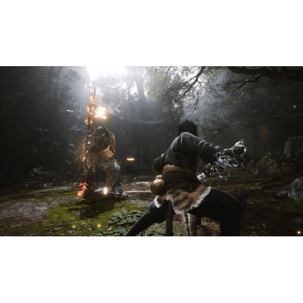 Игра Black Myth Wukong PS5 (5056635611864) фото №6