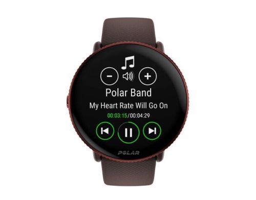 Смарт-часы Polar Ignite 3 Brown Copper (900106239) фото №2