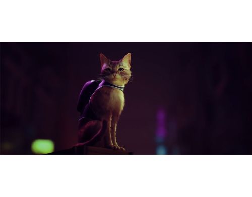 Игра Stray Nintendo Switch російські субтитри (0811949038692) фото №3