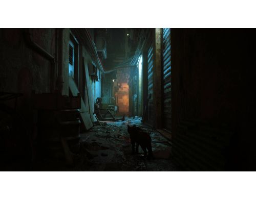 Игра Stray Nintendo Switch російські субтитри (0811949038692) фото №4