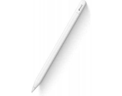Apple Pencil USB-C (MUWA3) фото №2