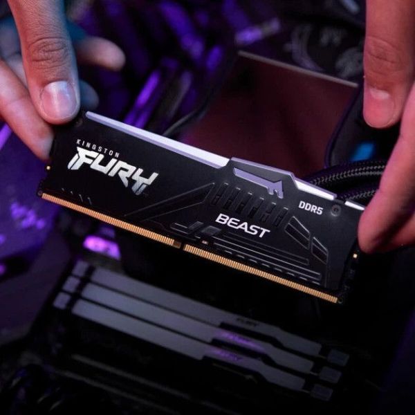 Оперативная память DDR5 32 Gb (5600 MHz) Kingston Fury Beast RGB EXPO (KF556C36BBE2A-32) фото №3
