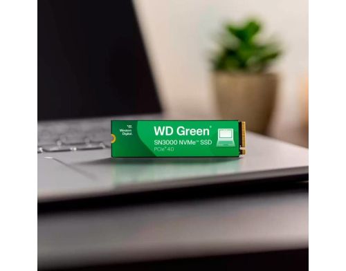 SSD накопитель WD Green SN3000 1 TB (WDS100T4G0E) фото №3