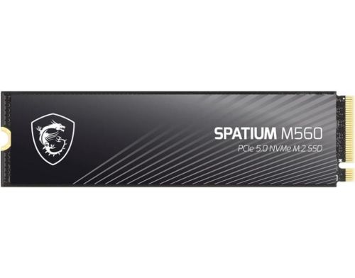 SSD накопитель MSI Spatium M560 1 TB (S78-440L0F0-P83) фото №3