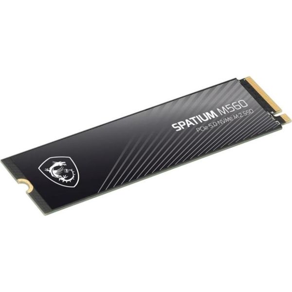 SSD накопитель MSI Spatium M560 1 TB (S78-440L0F0-P83) фото №5