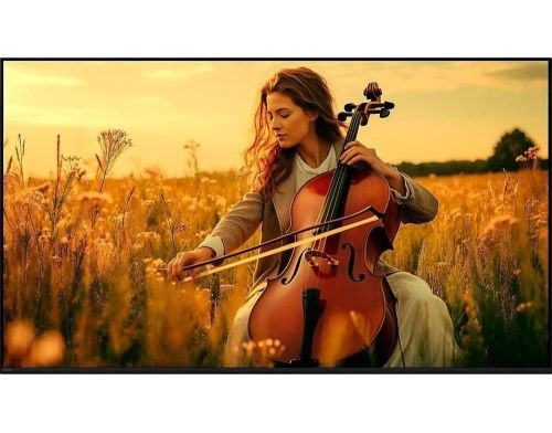 Телевізор Sony K-85XR50 фото №5