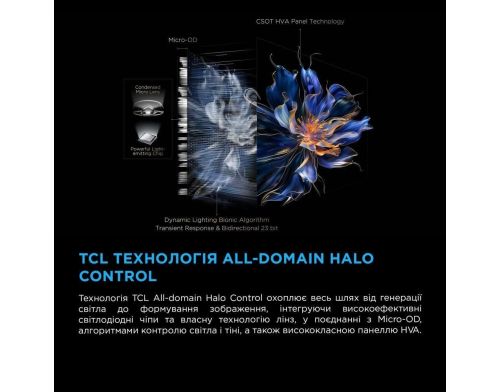 Телевизор TCL 50C6KS фото №10