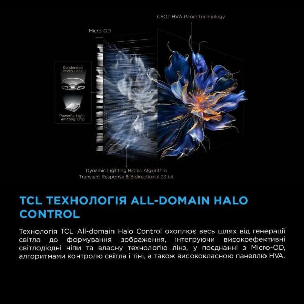 Телевизор TCL 50C6KS фото №10