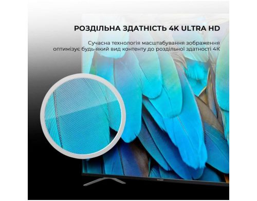 Телевізор Sharp 4T-C55GP6260ES фото №9