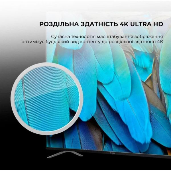 Телевізор Sharp 4T-C55GP6260ES фото №9