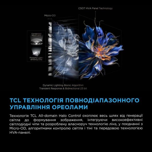 Телевизор TCL 50C6K фото №10